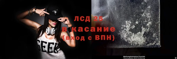 индика Белоозёрский