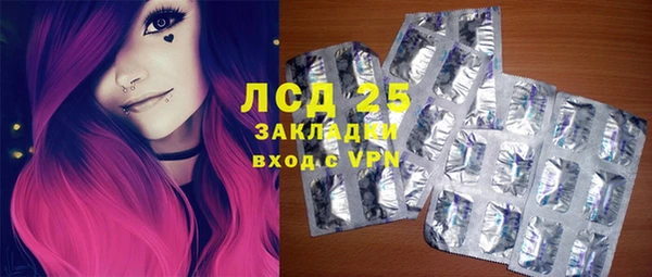 индика Белоозёрский