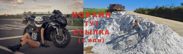 индика Белоозёрский