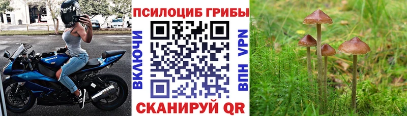 Псилоцибиновые грибы мухоморы  Невель 